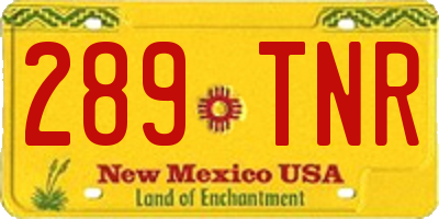 NM license plate 289TNR