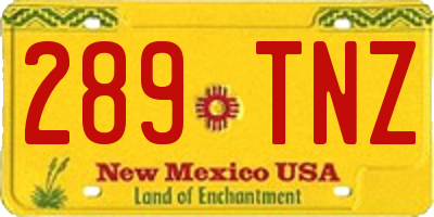 NM license plate 289TNZ