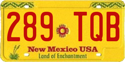 NM license plate 289TQB