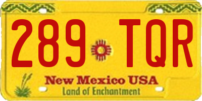 NM license plate 289TQR