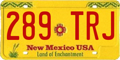 NM license plate 289TRJ