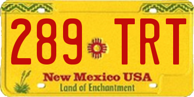 NM license plate 289TRT