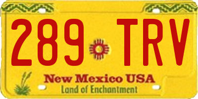 NM license plate 289TRV