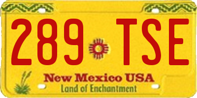 NM license plate 289TSE