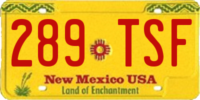 NM license plate 289TSF