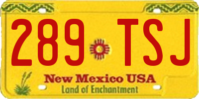 NM license plate 289TSJ