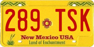 NM license plate 289TSK