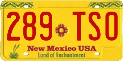 NM license plate 289TSO