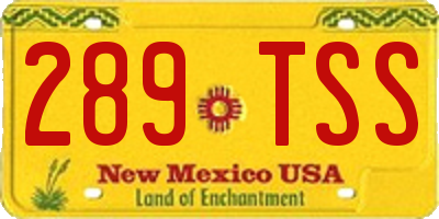 NM license plate 289TSS