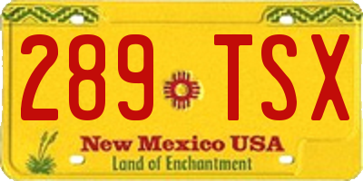 NM license plate 289TSX