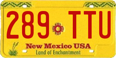 NM license plate 289TTU