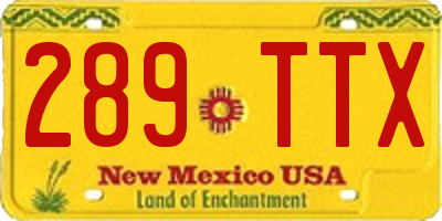 NM license plate 289TTX