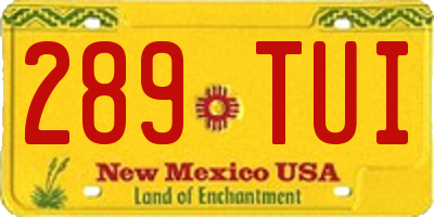 NM license plate 289TUI