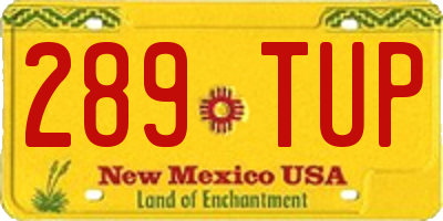 NM license plate 289TUP