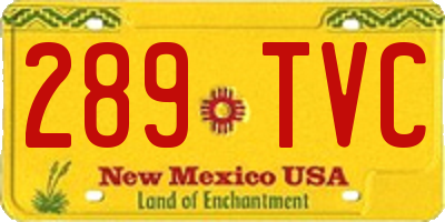 NM license plate 289TVC