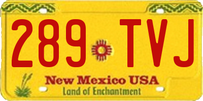 NM license plate 289TVJ
