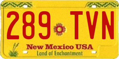 NM license plate 289TVN