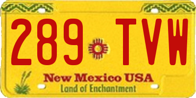NM license plate 289TVW