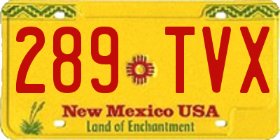 NM license plate 289TVX