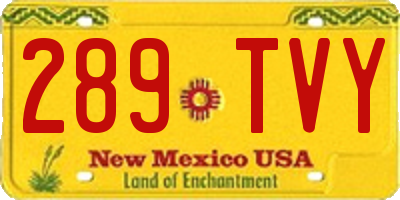 NM license plate 289TVY