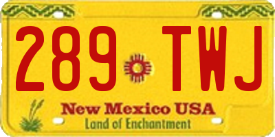 NM license plate 289TWJ
