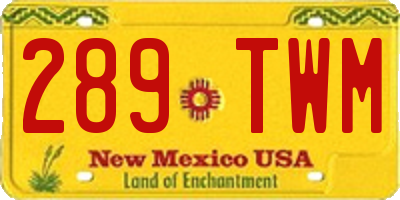 NM license plate 289TWM