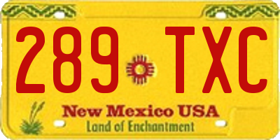 NM license plate 289TXC
