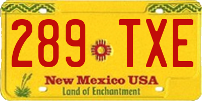 NM license plate 289TXE