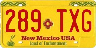 NM license plate 289TXG