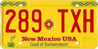 NM license plate 289TXH