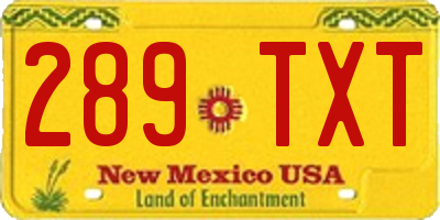 NM license plate 289TXT