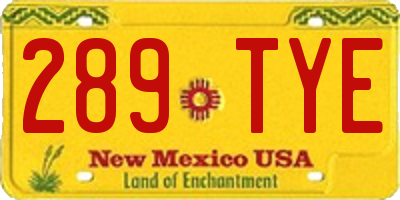 NM license plate 289TYE
