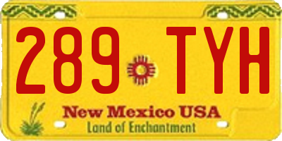 NM license plate 289TYH