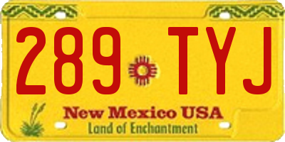NM license plate 289TYJ