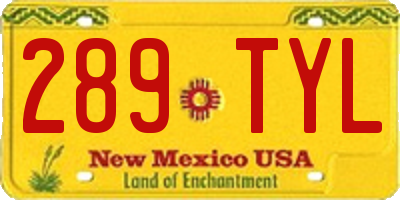 NM license plate 289TYL