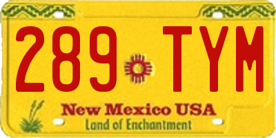 NM license plate 289TYM