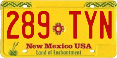 NM license plate 289TYN