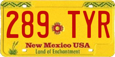 NM license plate 289TYR