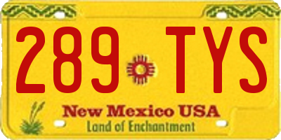 NM license plate 289TYS
