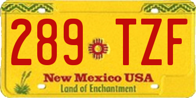 NM license plate 289TZF