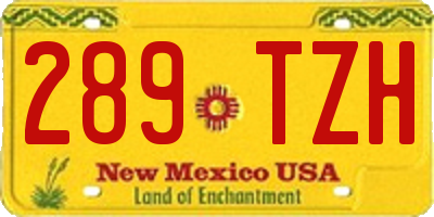 NM license plate 289TZH