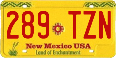 NM license plate 289TZN