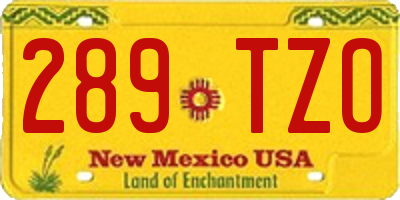 NM license plate 289TZO