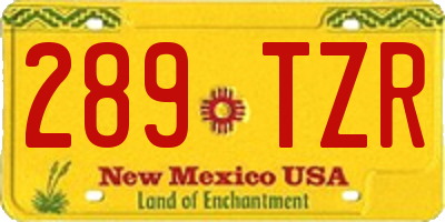 NM license plate 289TZR