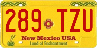 NM license plate 289TZU