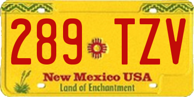 NM license plate 289TZV