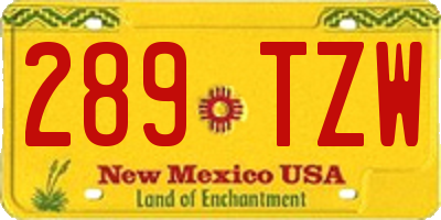 NM license plate 289TZW