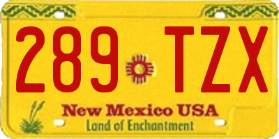 NM license plate 289TZX