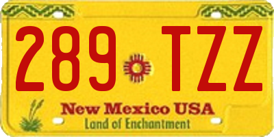 NM license plate 289TZZ