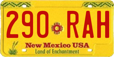 NM license plate 290RAH